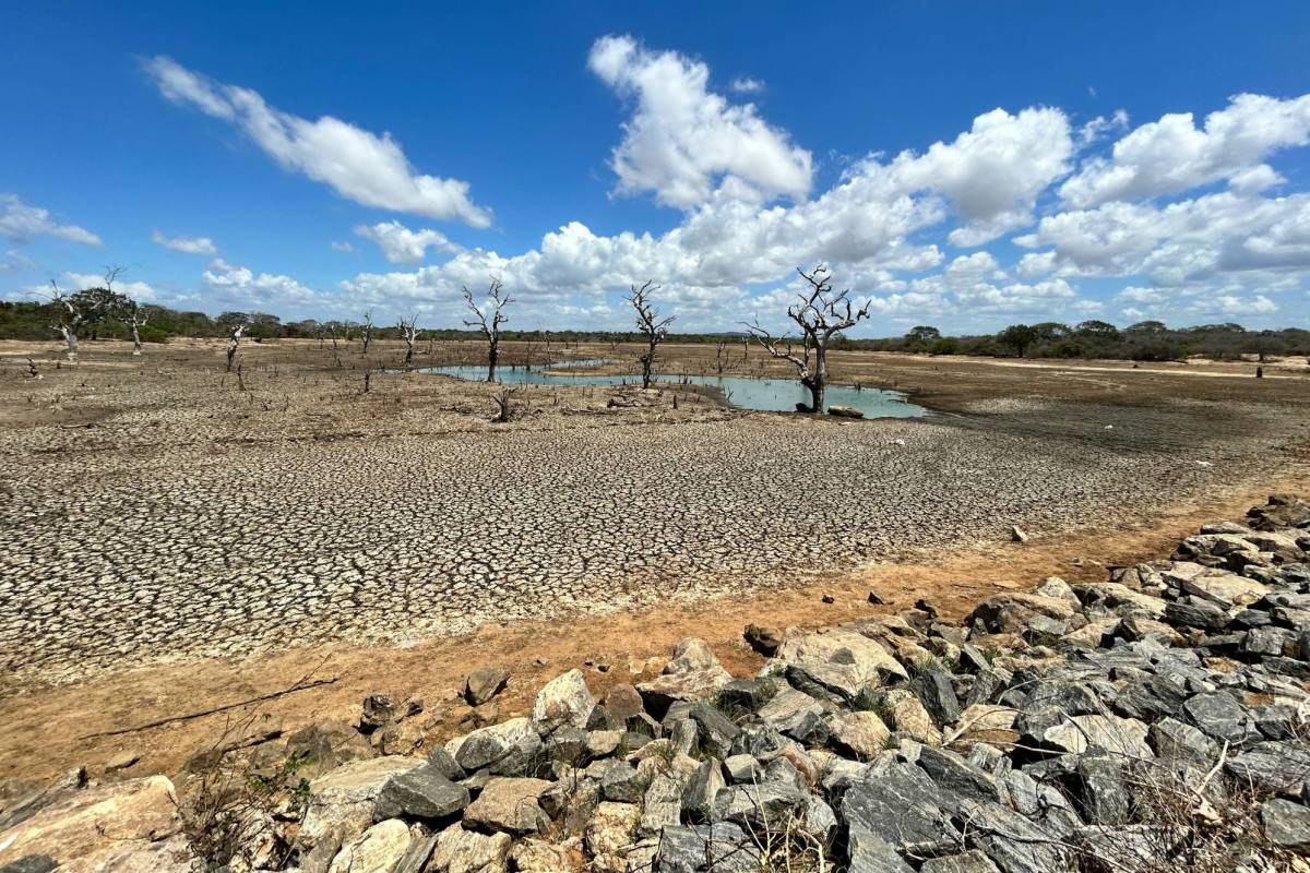 Chemical Burn First Aid and the ESG Conversation: Why It Matters